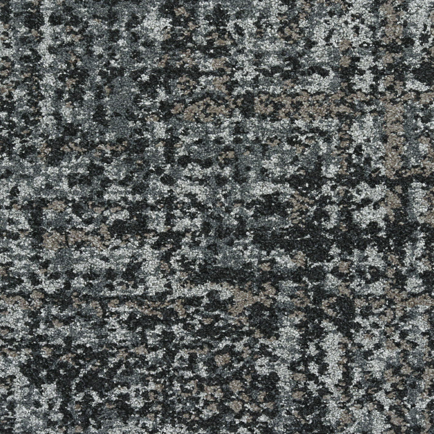 Darius 910 Grey