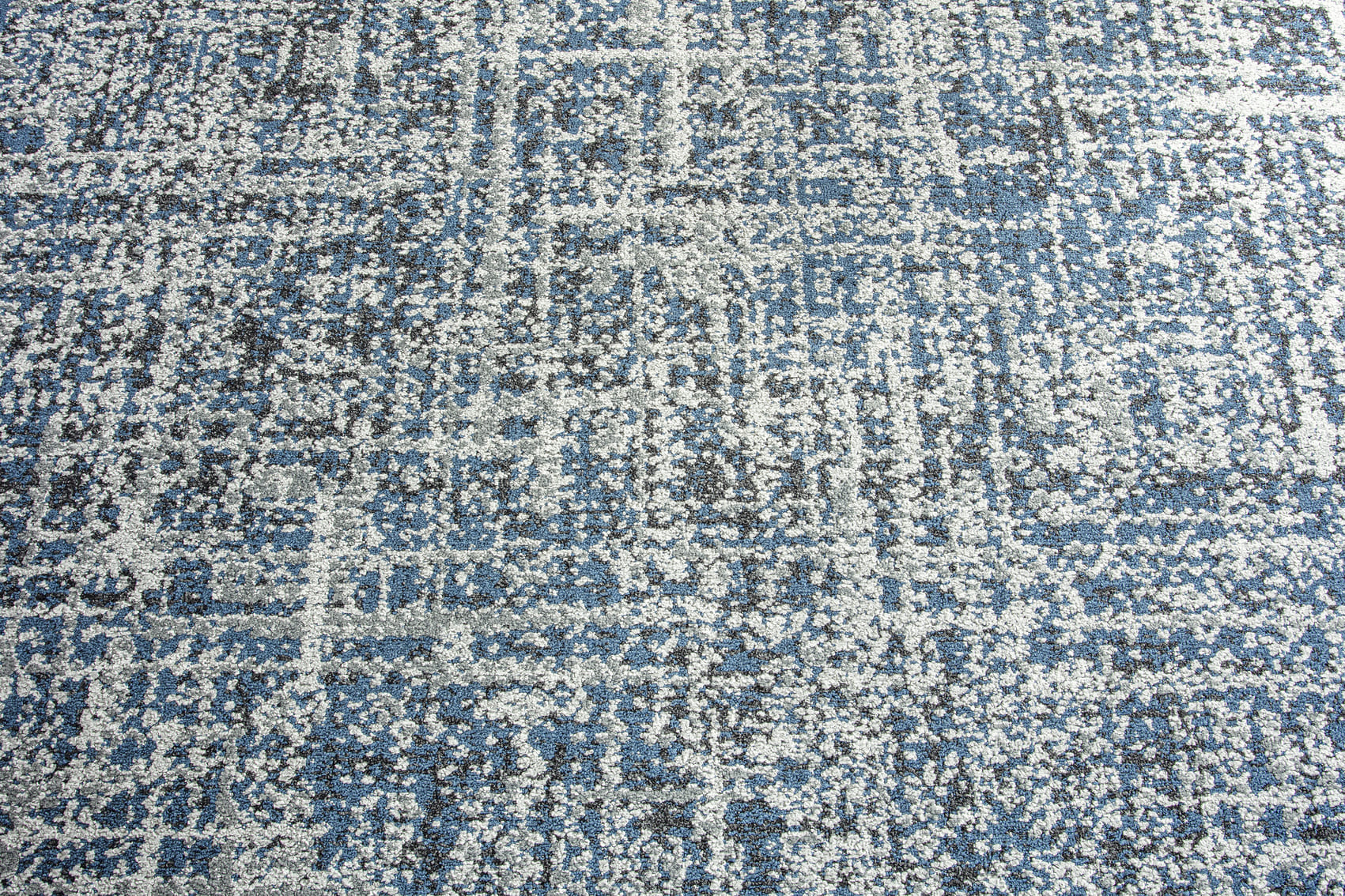 Darius 170 Bleu Variant A
