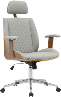 Ergonomic Office Chair