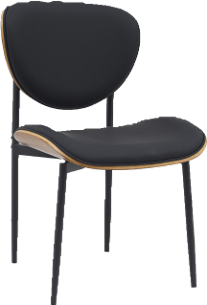 Contemporary Side Chair